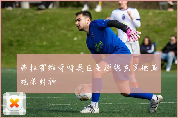 弗拉霍维奇特奥巨星连线克罗地亚绝杀封神