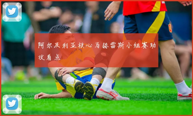 阿尔及利亚核心马赫雷斯小组赛助攻看点