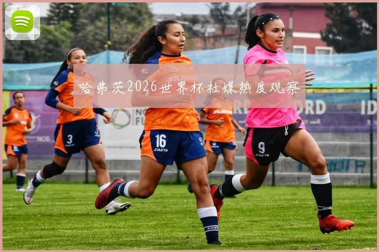 哈弗茨2026世界杯社媒热度观察