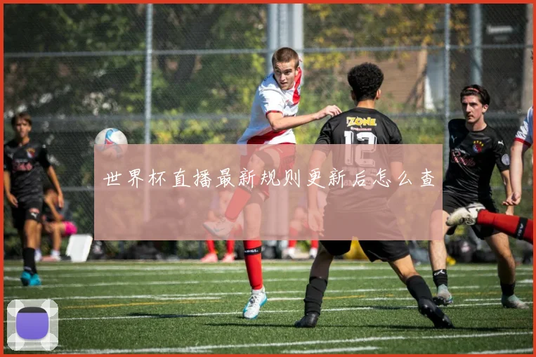 世界杯直播最新规则更新后怎么查
