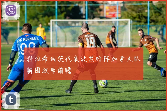 科拉希纳茨代表波黑对阵加拿大队解围效率前瞻