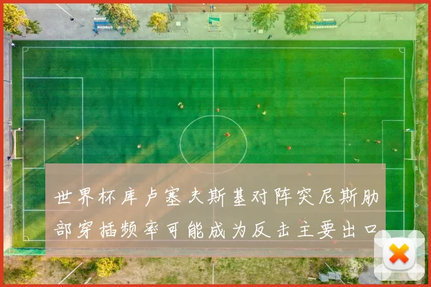 世界杯库卢塞夫斯基对阵突尼斯肋部穿插频率可能成为反击主要出口
