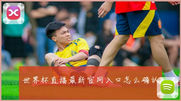 世界杯直播最新官网入口怎么确认