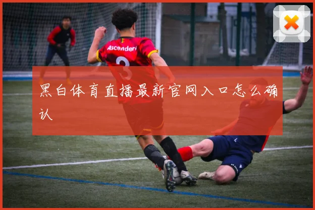 黑白体育直播最新官网入口怎么确认